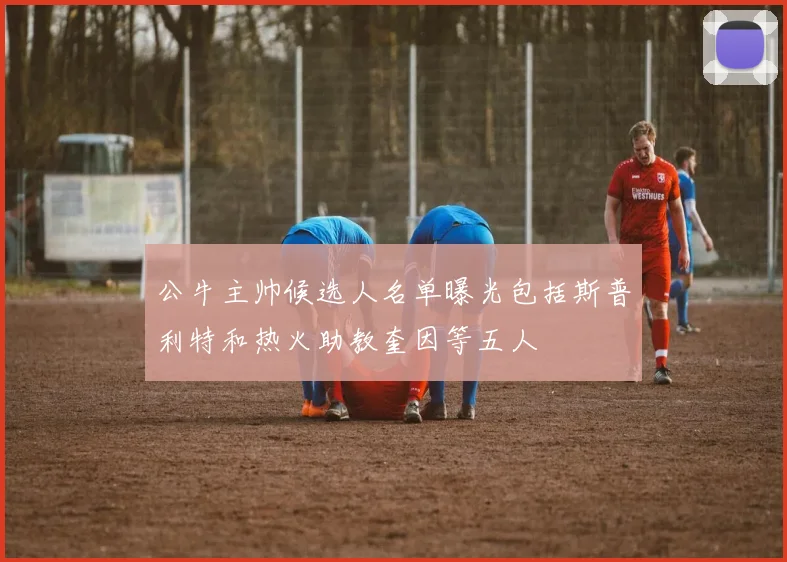 公牛主帅候选人名单曝光包括斯普利特和热火助教奎因等五人