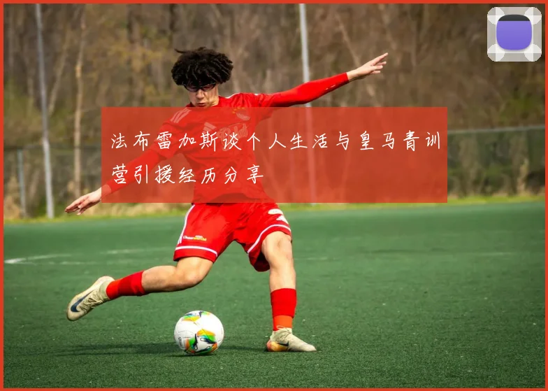法布雷加斯谈个人生活与皇马青训营引援经历分享